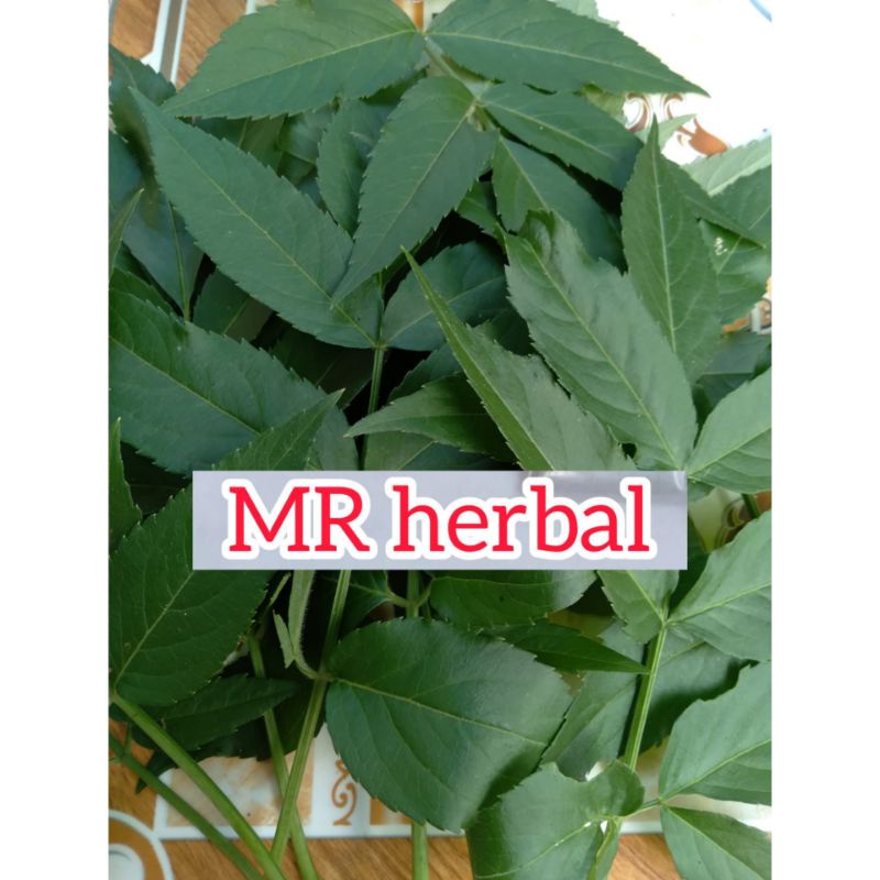 

Hemat daun sangitan segar per 300 gram