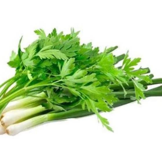 

T6T✷ Daun Bawang Seledri 1 Ikat 180 - 280 g Recommended