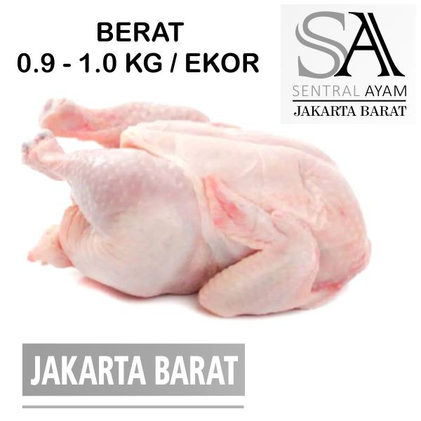 

Ayam Karkas Broiler Ayam Potong Utuh Negeri 0.9 kg 9 ons Fresh Frozen