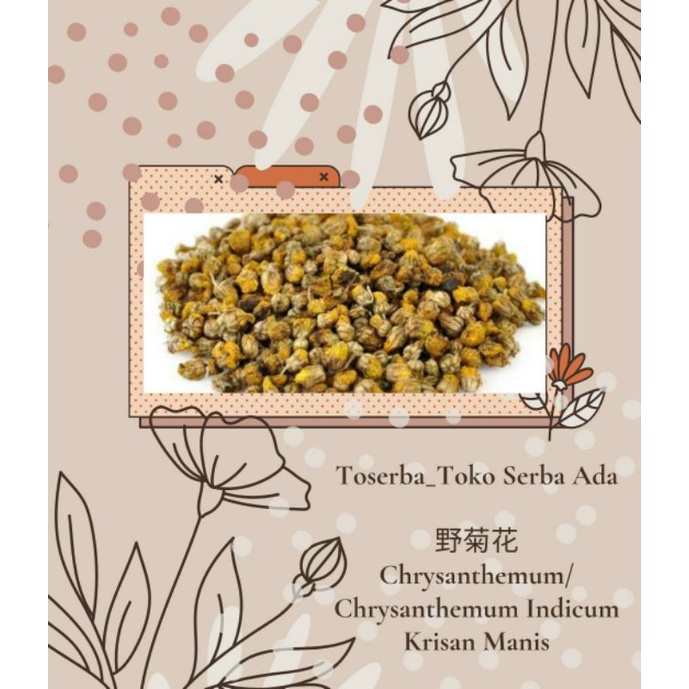 

100gr Herbal Ye Ju Hua 野菊花 Baby Krisan Chrysanthemum Indicium (Krisan Liar) Grade A