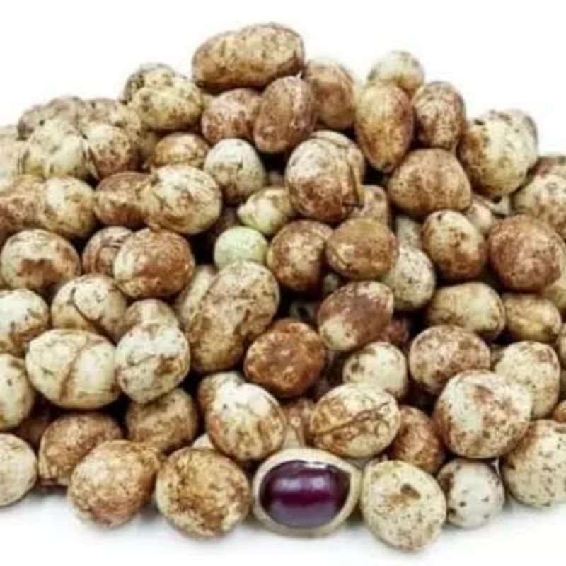 

PROMO KACANG POLONG BOGOR / KACANG BANTEN / KACANG BULED HARGA TERBAIK KUALITAS PRIMA 1/2 DAN 1 KG