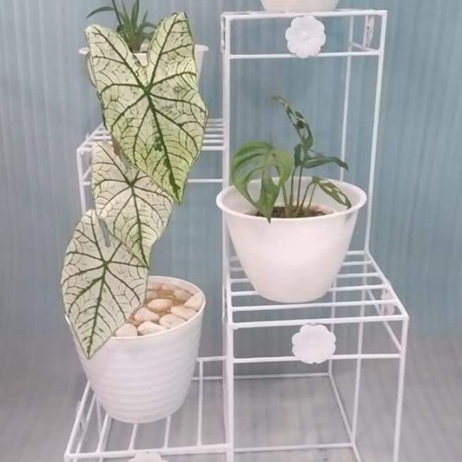 Rak besi pot bunga rak bunga besi standing pot besi rak bunga susun .