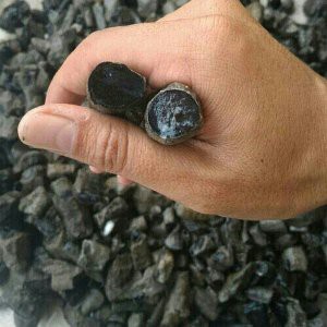 Black Opal Ranting Bibit Jarong Bonus 1 Black Opal Jarong Bonus 5 Bahan Batu Dan Bonus 1 Cincin Bo Shopee Indonesia