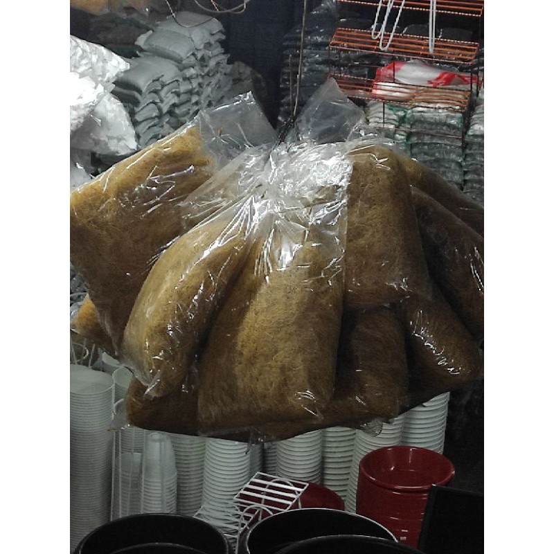 Sabut kelapa media tanam