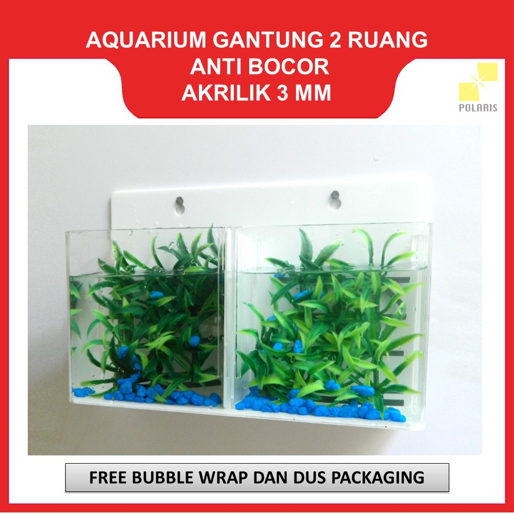 AKUARIUM CUPANG GANTUNG / AQUARIUM AKRILIK DINDING / SOLITER CUPANG AKRILIK 2 RUANG