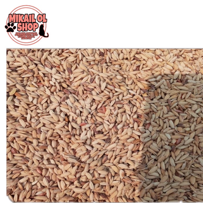 

fs2011bb Gabah Merah Beraih Reapack 1 Kg - 500 Gram Sv012Ss