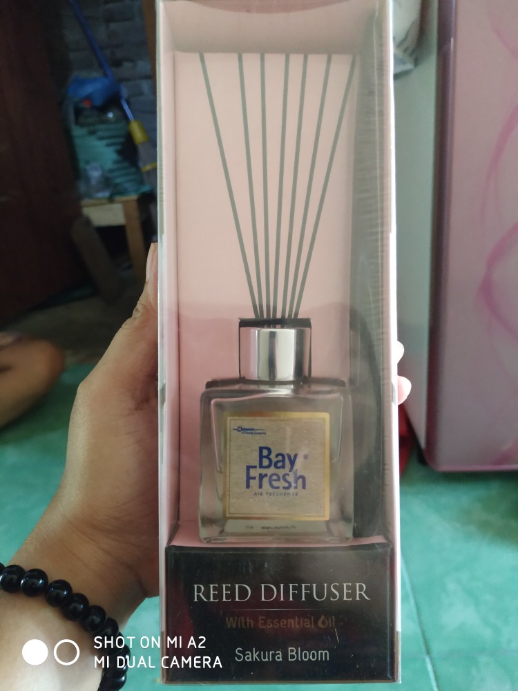 Bayfresh Reed Diffuser Regular 30ml