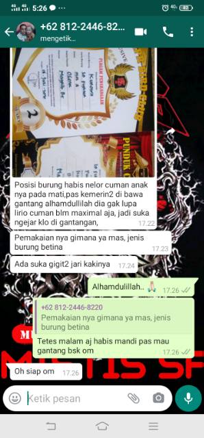 ADY78 Pakan Lovebird Konlset Milet Mistis Lovebird Sesajen pakan Lomba Lovebird