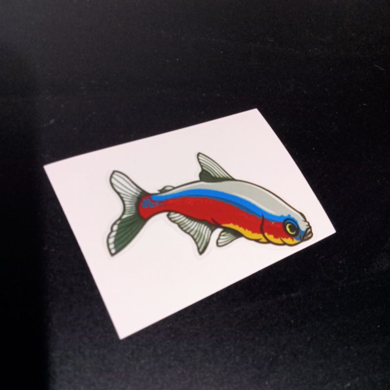 ikan hias neon cardinal stiker