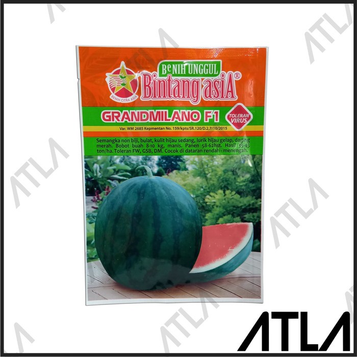 Benih Semangka Merah Grandmilan F1 Buah Tanpa Biji Bibit Bintang Asia - Ph851