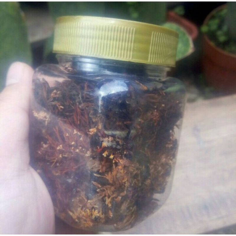 Jakaba Semi Kering Full toples