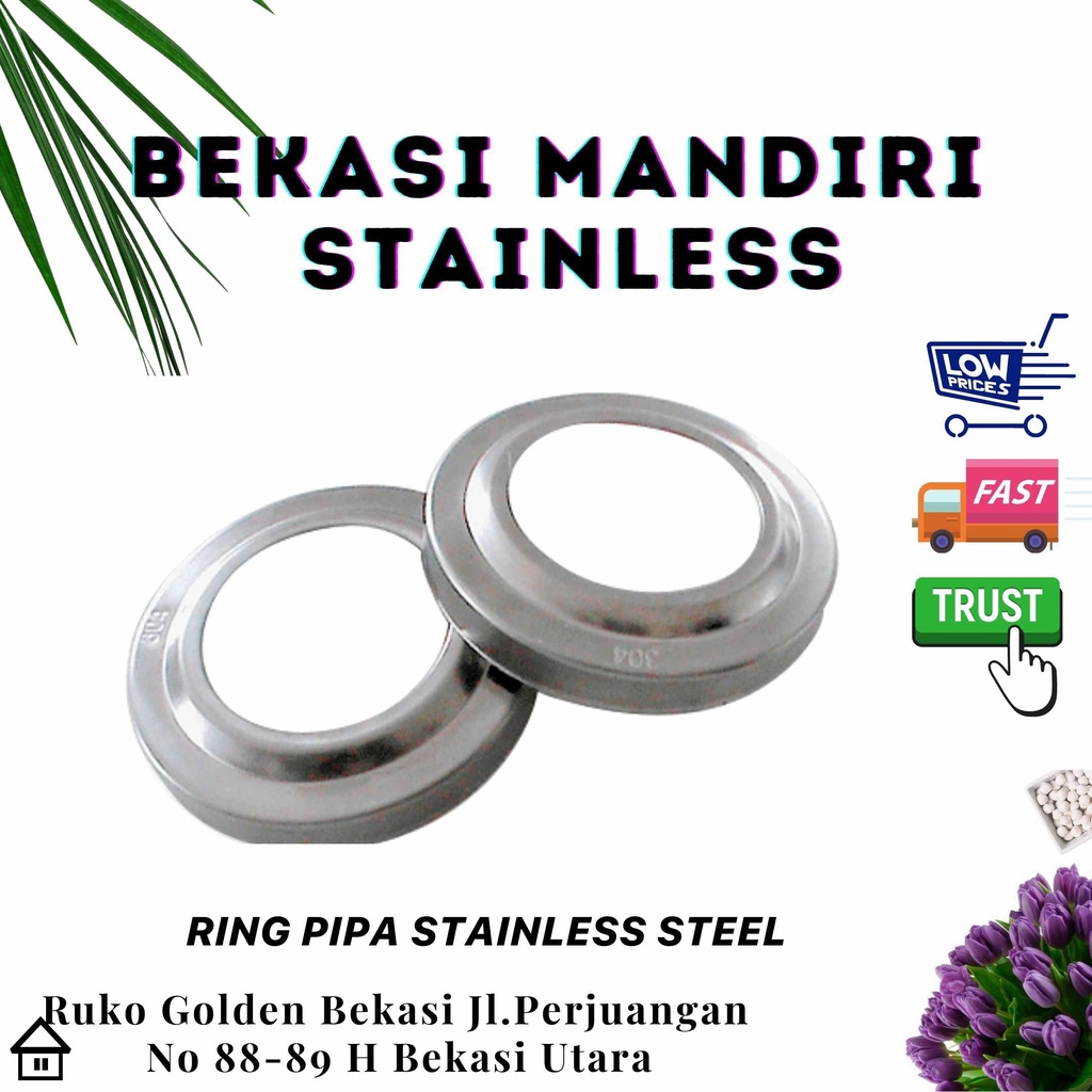 Ring Pipa 304