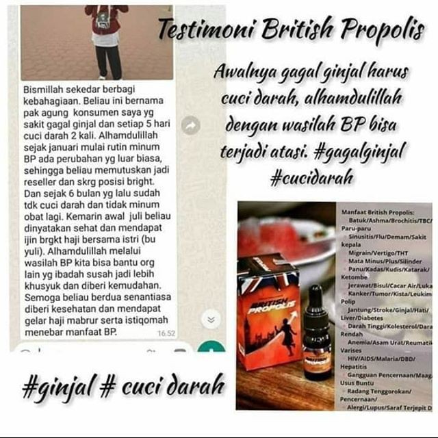 British Propolis 100 Original Herbal Diabetes Herbal Asam Urat Herbal Kolesterol Shopee Indonesia