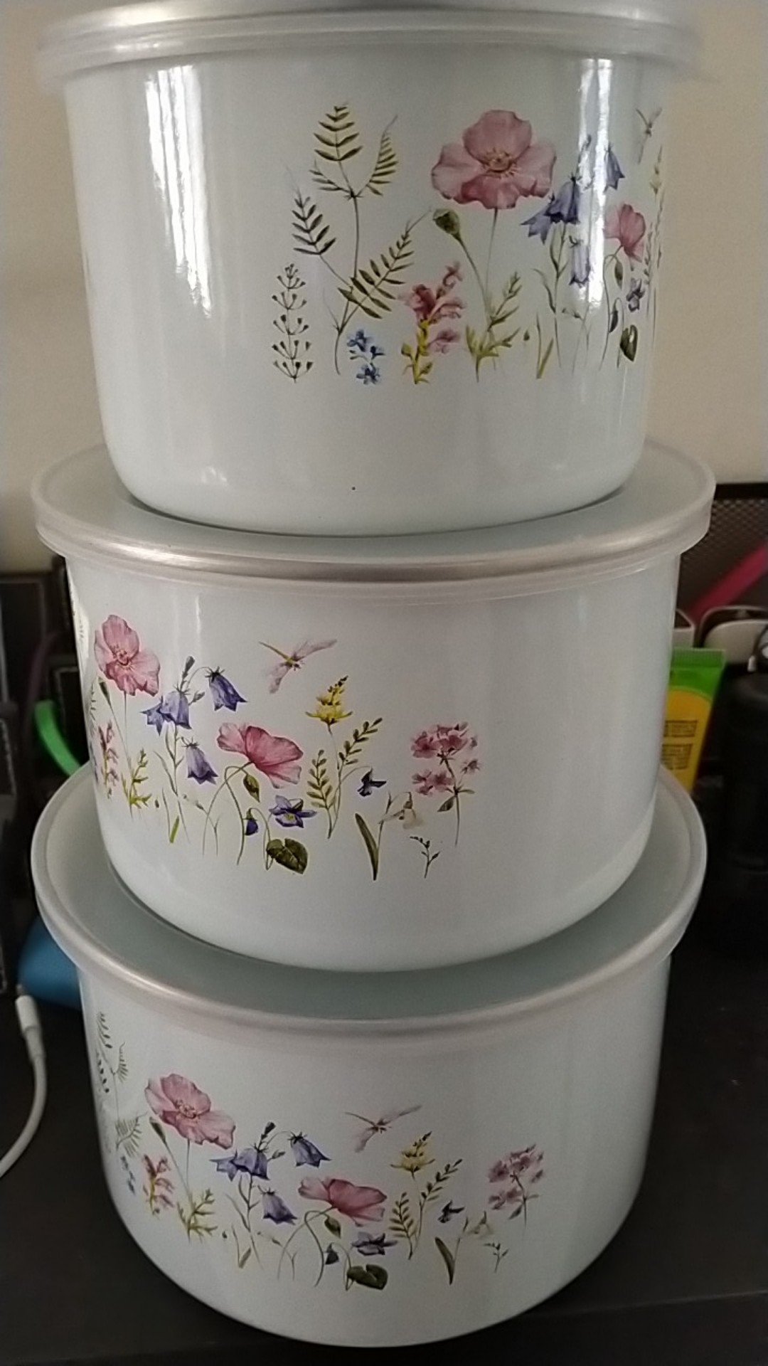 Maspion Deep Storage Bowl Enamel On Steel Rantang 3 Susun - Random