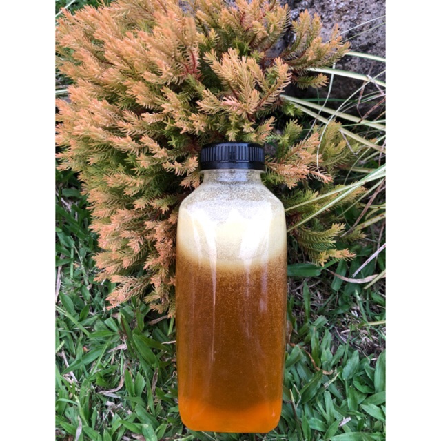 

MADU MURNI