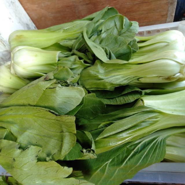 

Sawi pokcoy sayur 500 gram~ Baby pokcoy