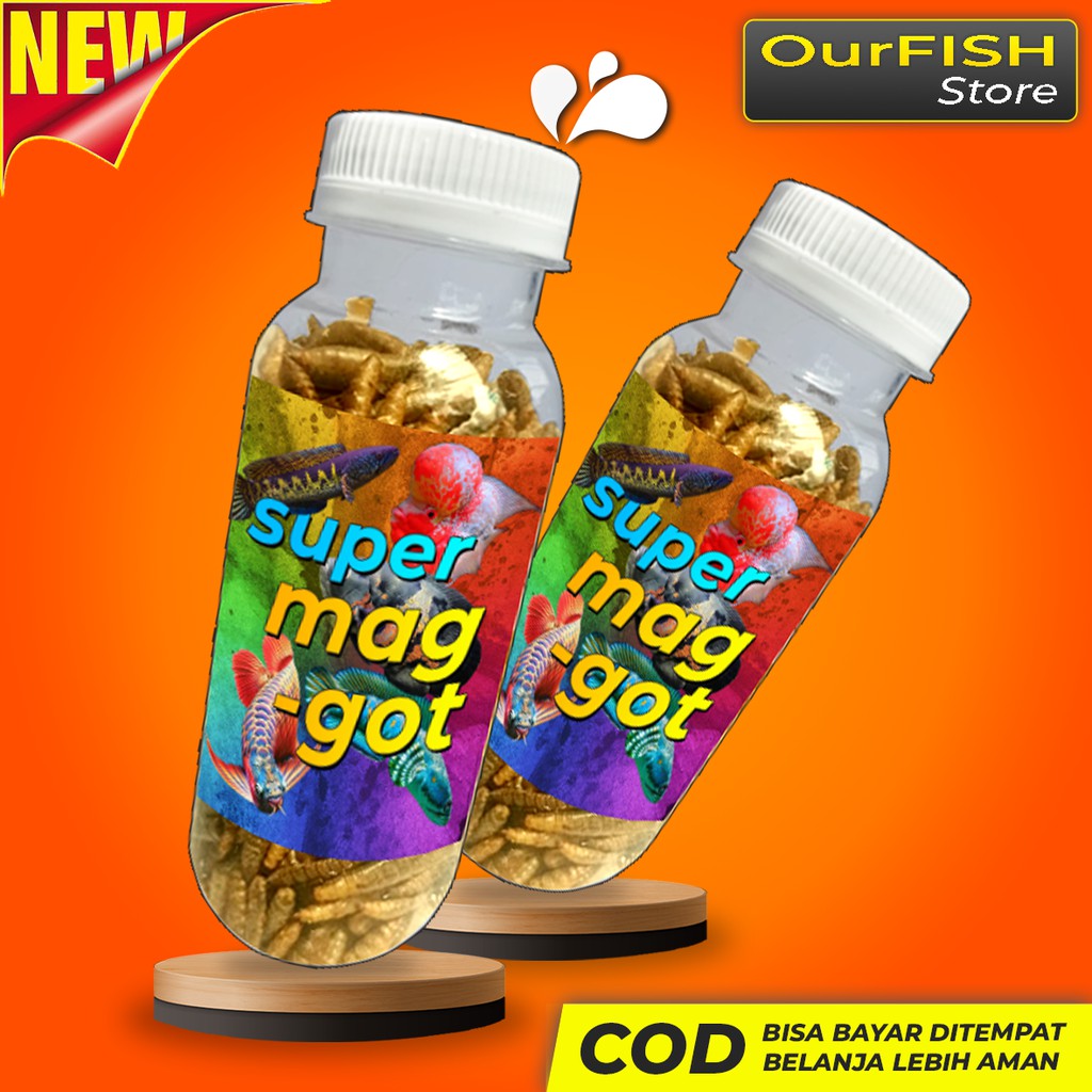 OURFISH - Maggot with Beta carotene Pakan Ikan Predator Channa Arwana Louhan Oscar Pbass Koi Belida