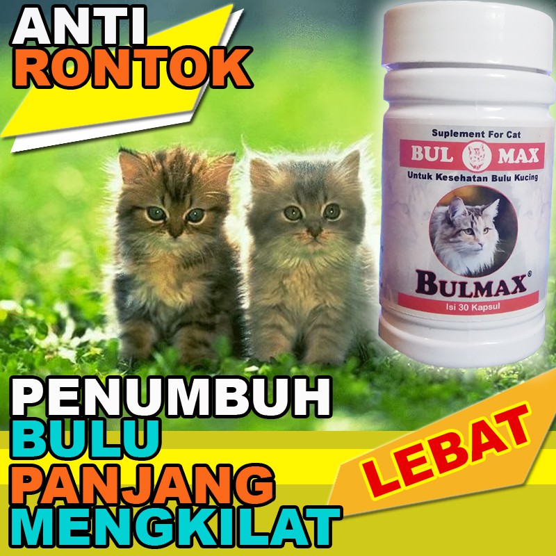 Bm08 Obat Bulu Kucing Persia Anggora Penumbuh Bulu Lebat Panjang Bulu Kucing Anti Rontok Bulmax Shopee Indonesia