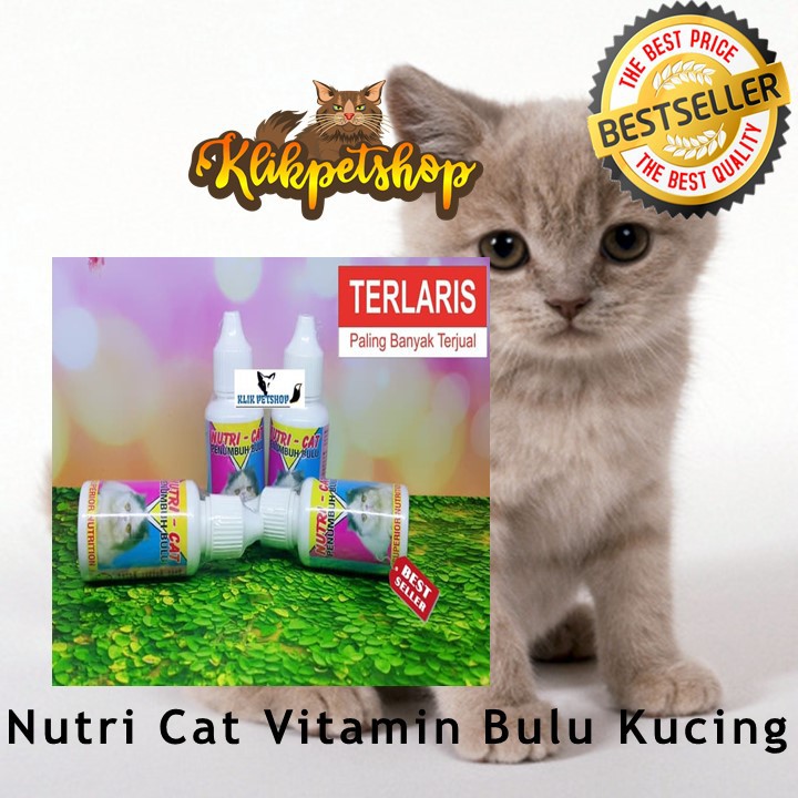 Vitamin Obat Penumbuh Bulu Kucing Nutricat Nutri Cat Nutri-Cat