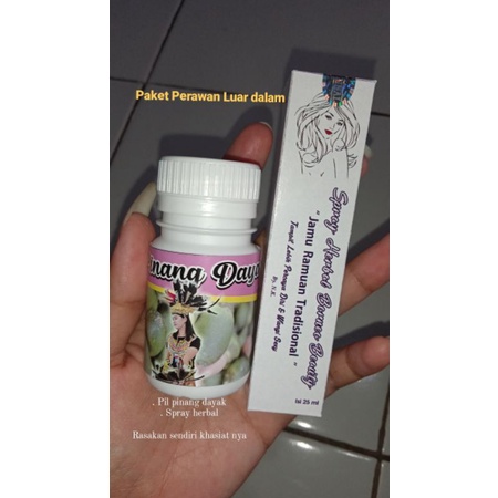 Pinang dayak + spray