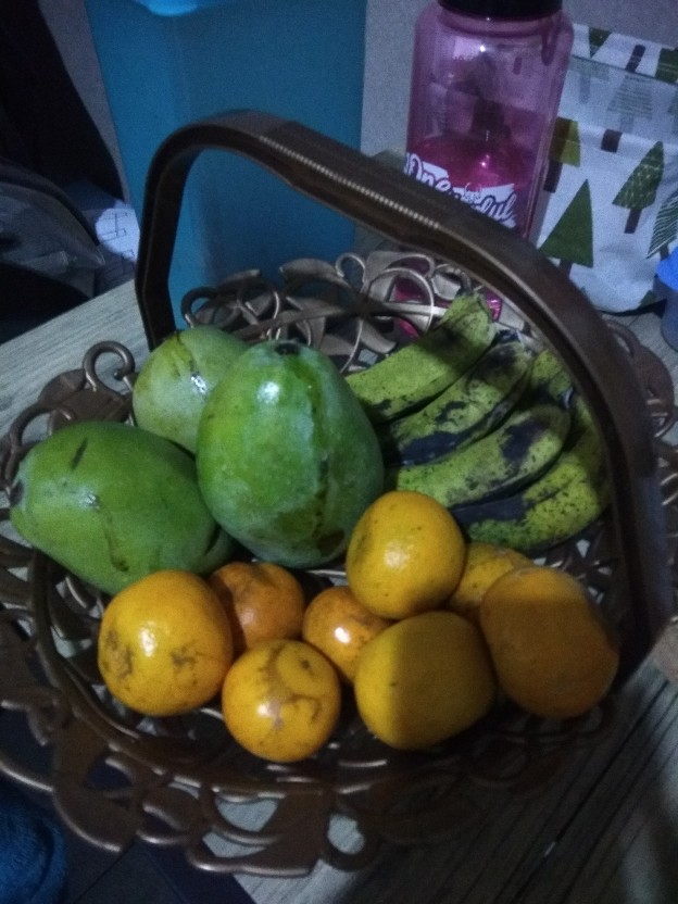 Alpha Tempat Buah Dengan Handle