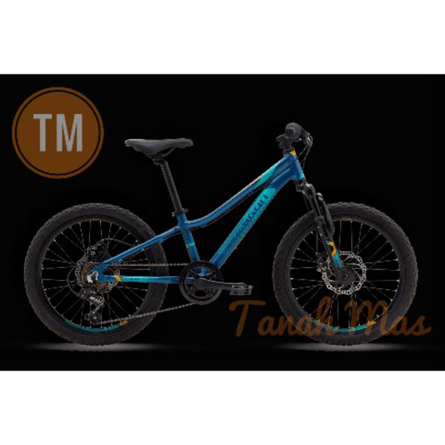  Sepeda  MTB Polygon  20  RELIC  Shopee Indonesia