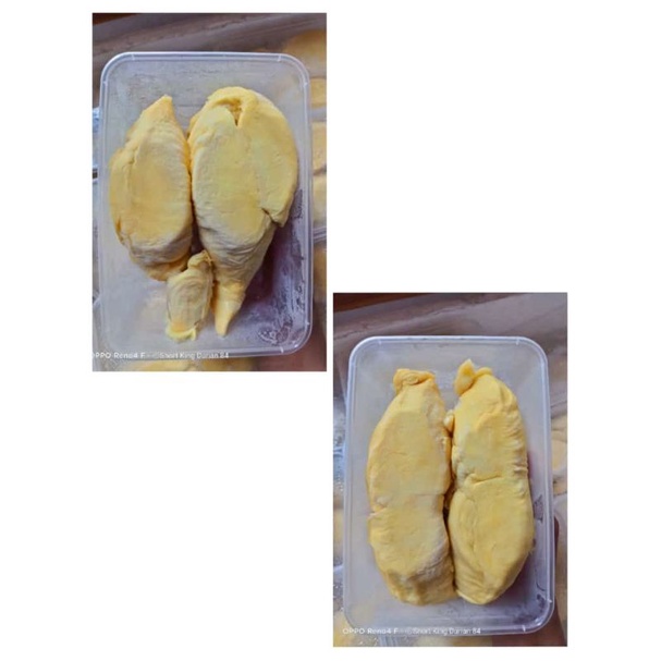 Exp Lama (COD) Durian Montong Palu Berkualitas