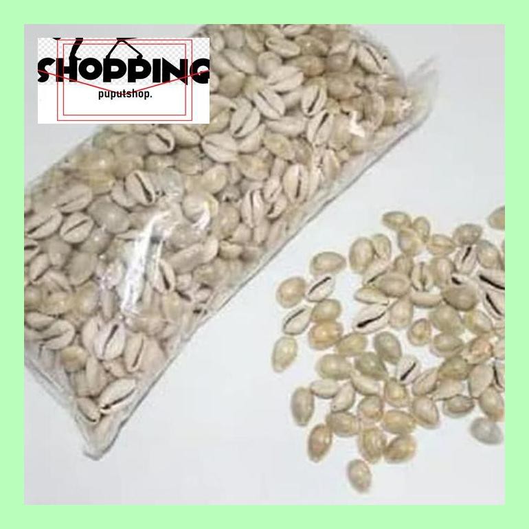 

Skgtras Biji Congklak / Kuwuk Dakon Kerang Asli Isi 500Gram Trad40S