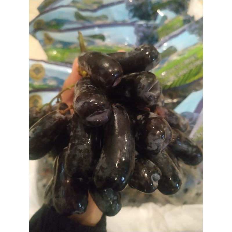 

Anggur Sweet Sapphire USA 1kg