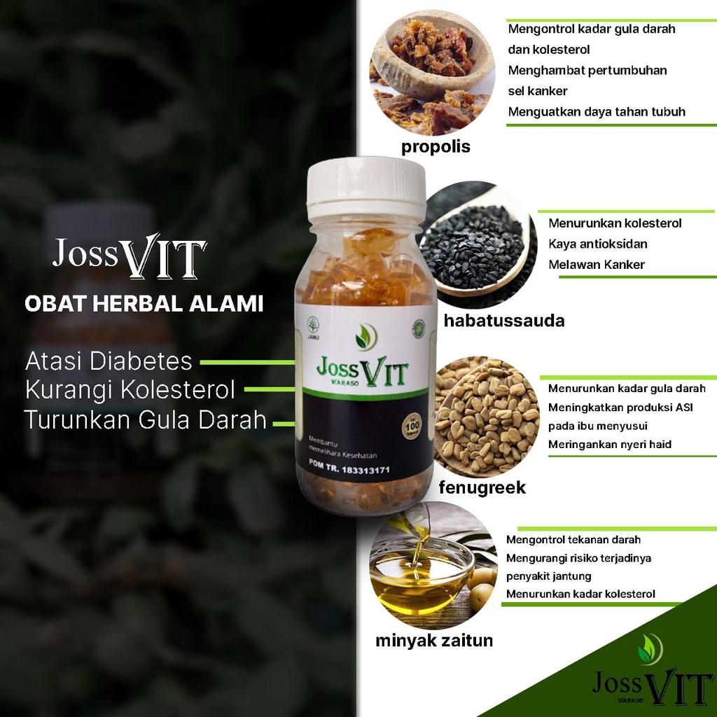 Joss Vit Habbatussauda Oil Jos Vit Propolis