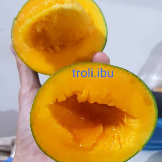 

Mangga Alpukat Super Grade A Matang Pohon