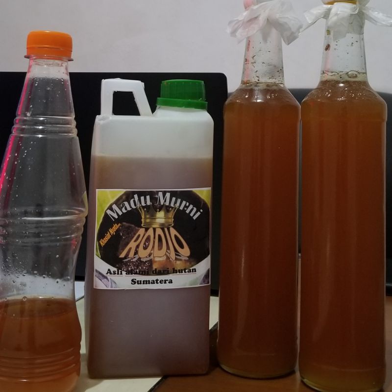 

Madu Rodjo, Madu Original dari Hutan Sumatera