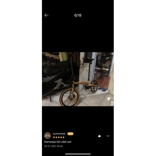 Sepeda Lipat Element Troy 10s Gold Edition Chrome Frame Chromolly Garansi 5 tahun SNI kredit cicilan-8