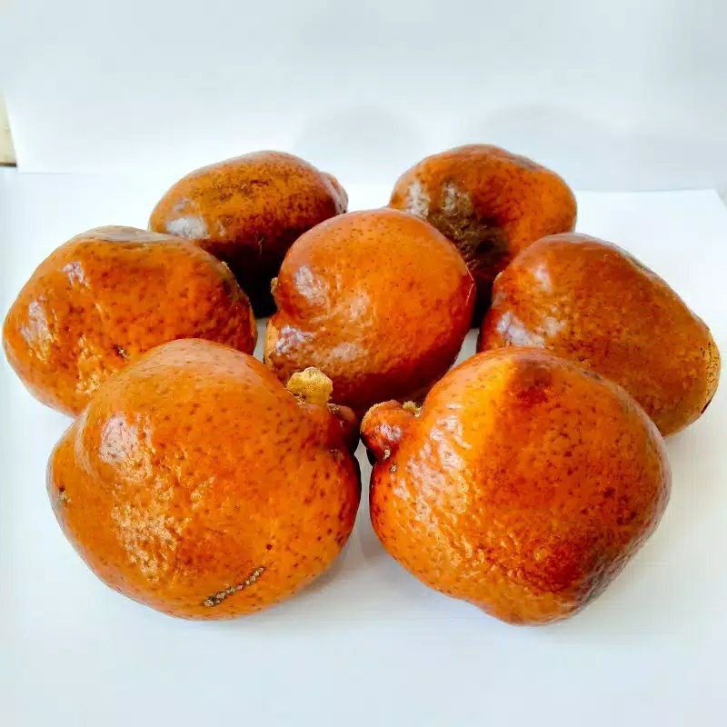 

Buah Zuriyat Satuan |premium Doum Fruit|Buah Adam Hawa Untuk Promil