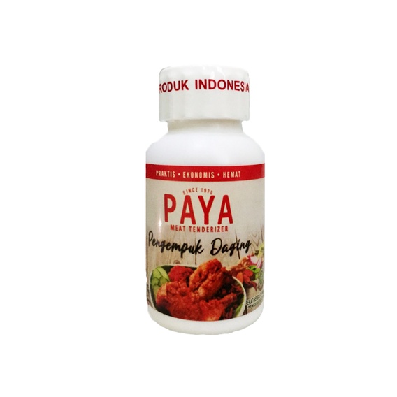 Jual Paya Pengempuk Daging Meat Tenderizer 70gr Shopee Indonesia