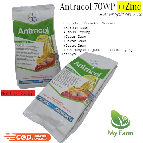 PRODUK- FUNGISIDA ANTRACOL 70WP +ZINC 250GR. BAHAN AKTIF PROPINEP 70% OBAT SEMPROT JAMUR CENDAWAN