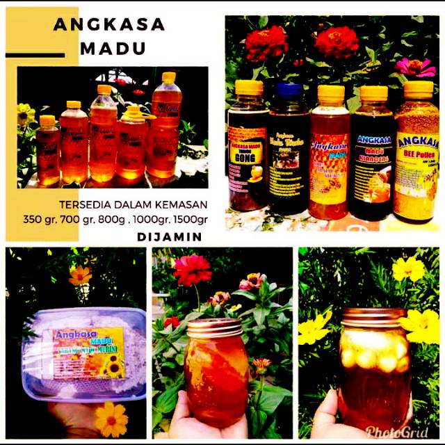 

Angkasa madu, madu murni asli 100% dijamin