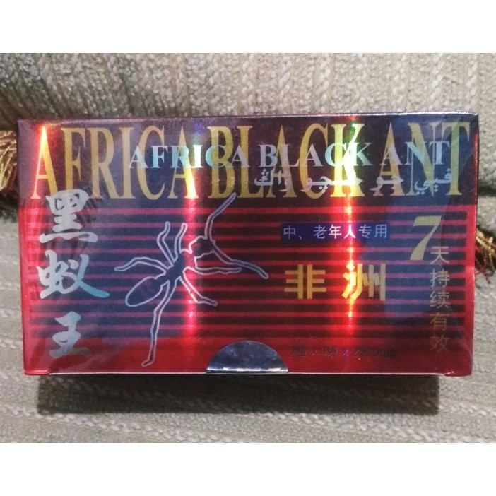 Semut Hitam AFRIKA | AFRIKA BLACK ANT | Original