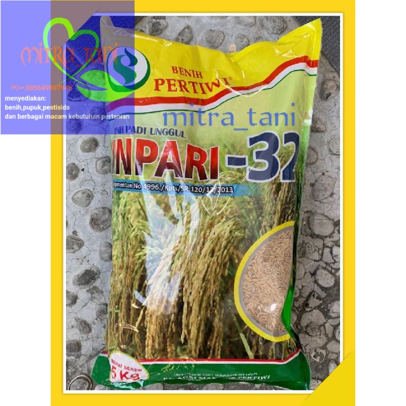 benih padi unggul INPARI 32 PERTIWI 5kg