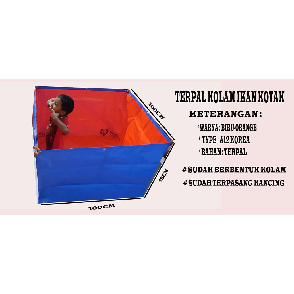 terpal kolam ikan UK(100x100x75) A12 korea cocok buat ternak ikan hias dan lele dan ikan cupang dll