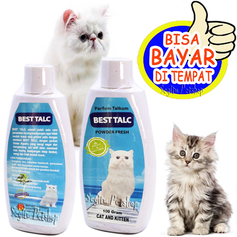 BEDAK JAMUR KUCING ANTI GATAL BAKTERI KITTEN PERAWATAN BEST TALK