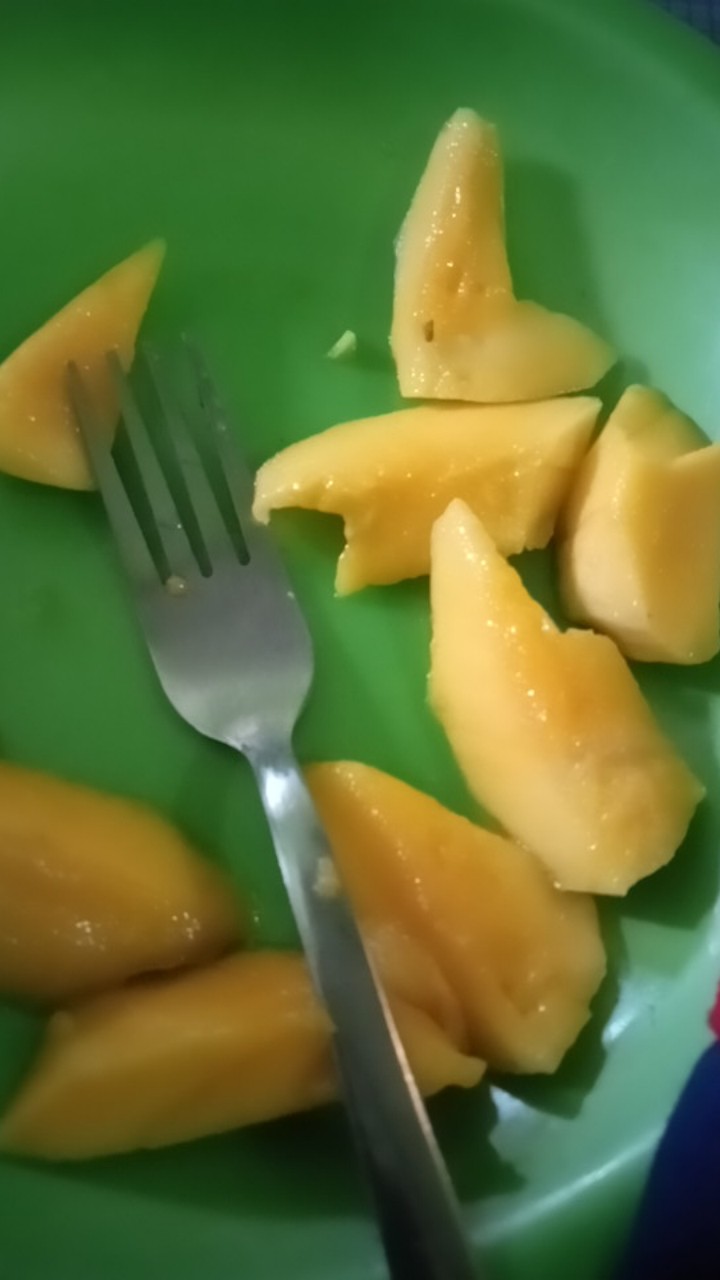 Botol Lampu 320ml / Botol Bohlam 320 Ml