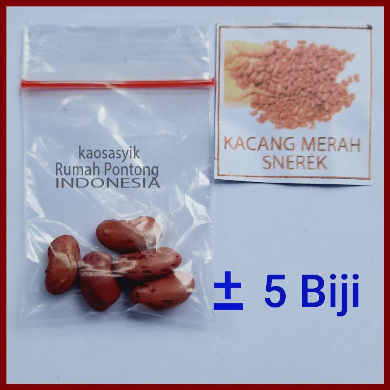 BENIH KACANG / KACANG HIJAU, KAPRI, MERAH, TANAH, KECIPIR, KEDELAI, TOLO/LANDES-5 Kacang Snerek