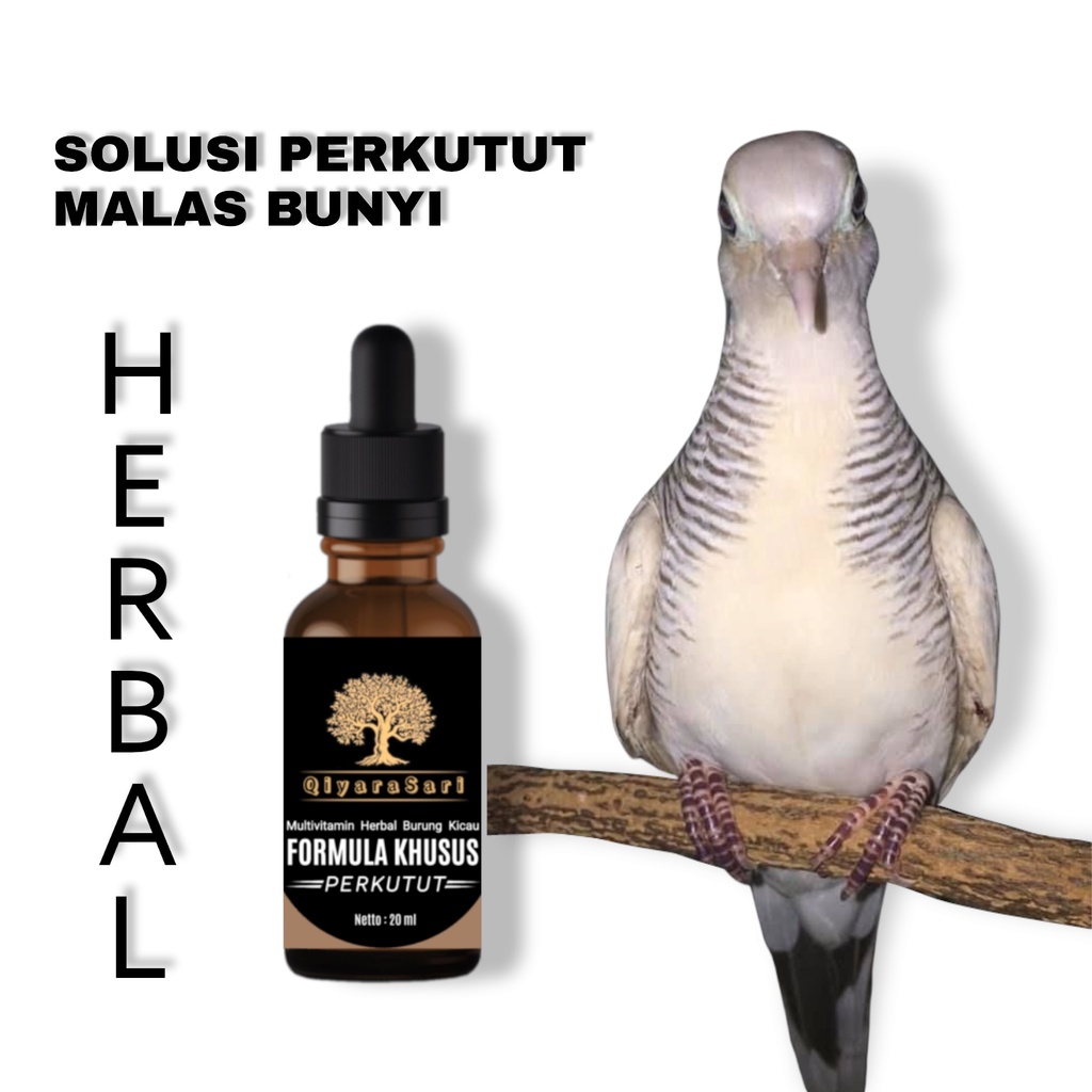 vitamin burung perkutut QIYARA SARI MULTIVITAMIN JAMU HERBAL BURUNG PERKUTUT