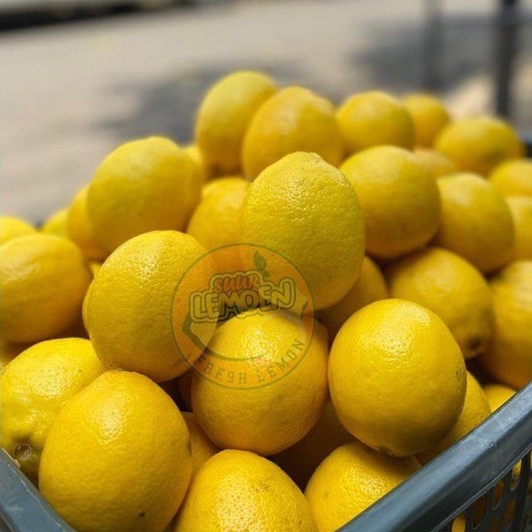 

Jeruk Lemon California Super 1 KG by SUUR LEMOEN SOLO