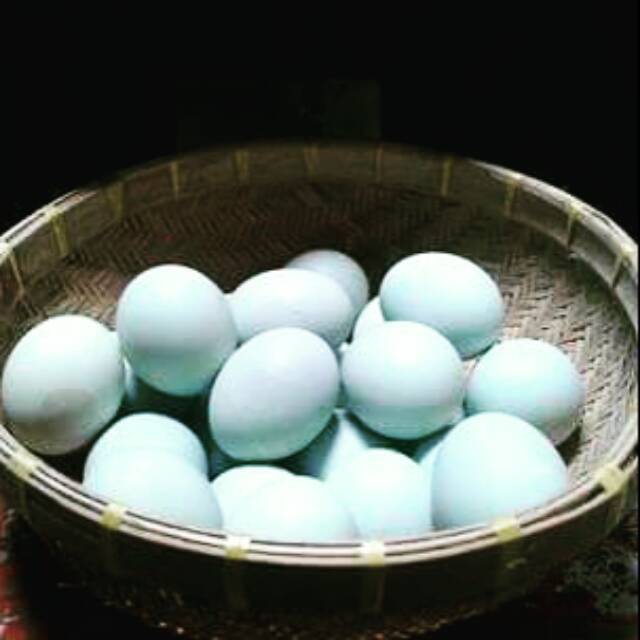 

TELOR ASIN 30 BIJI MANTAP