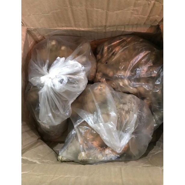 

Temu / Temulawak segar 1kg