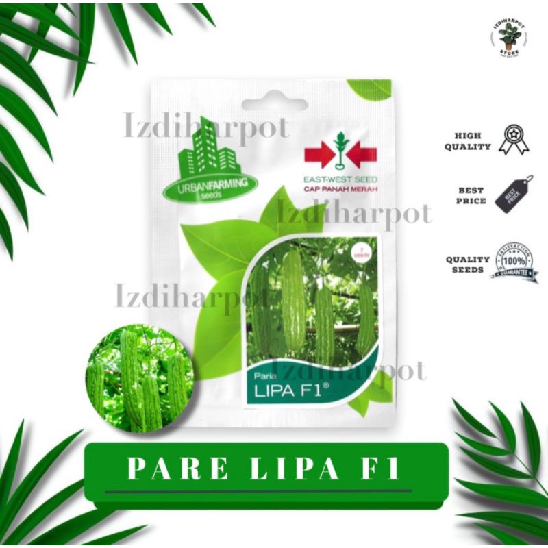 benih bibit pare paria lipa f1 cap panah merah - PARIA LIPA F1