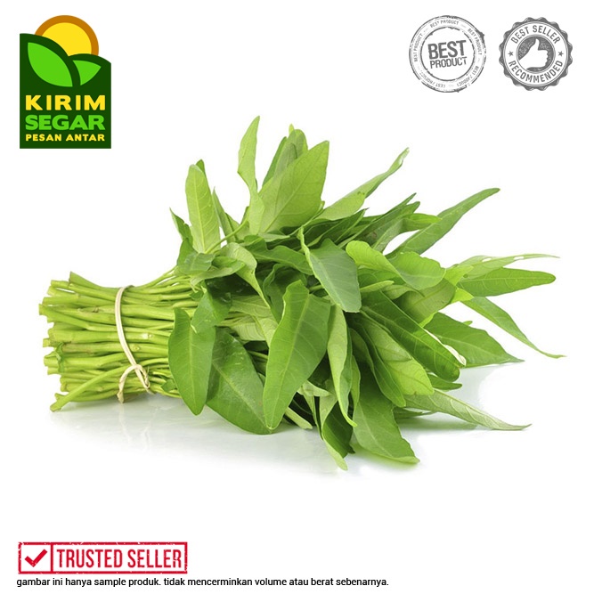 

Kangkung / Daun Kangkung / Sayur Kangkung / Kangkung Masih Ada Akar/Perikat