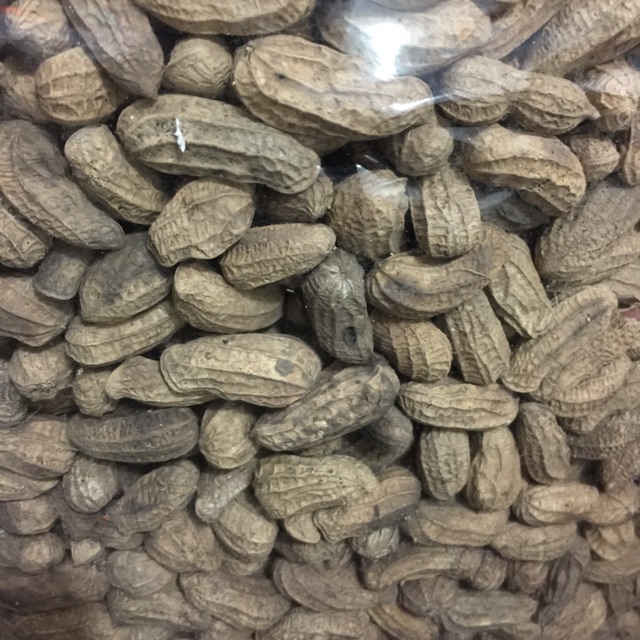 

Kacang rendang
